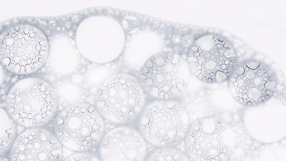 glutathion poudre gelule pur